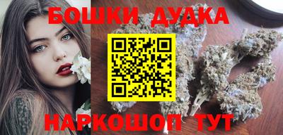 индика Кингисепп