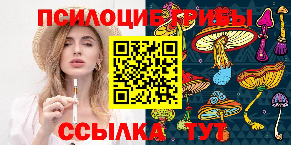 Ленинск-Кузнецкий  ЭКСТАЗИ  Гашиш  Где продают наркотики?  АМФЕТАМИН кристаллы  Вход с VPN  Канабис  Меф  